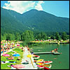 Swimming at the Wildsee