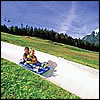 Summer toboggan