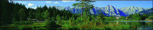 Wildsee