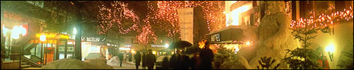 Seefeld at night