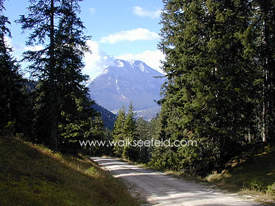 The Hoher Sattel - Tiroler Adlerweg